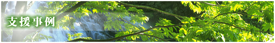支援実例